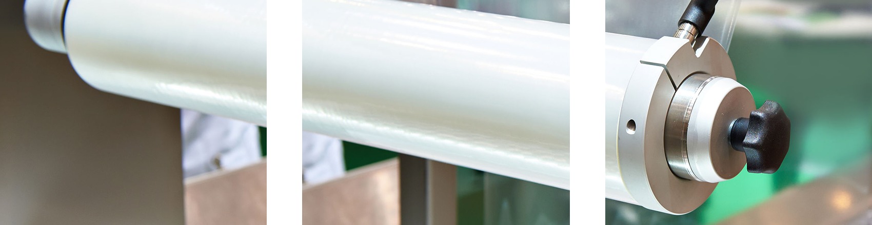 Figura illustrativa Annecchini Domenico