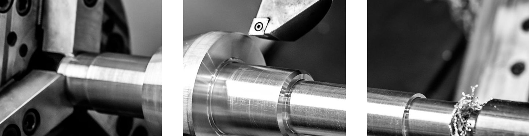 Figura illustrativa LA VERO SRL