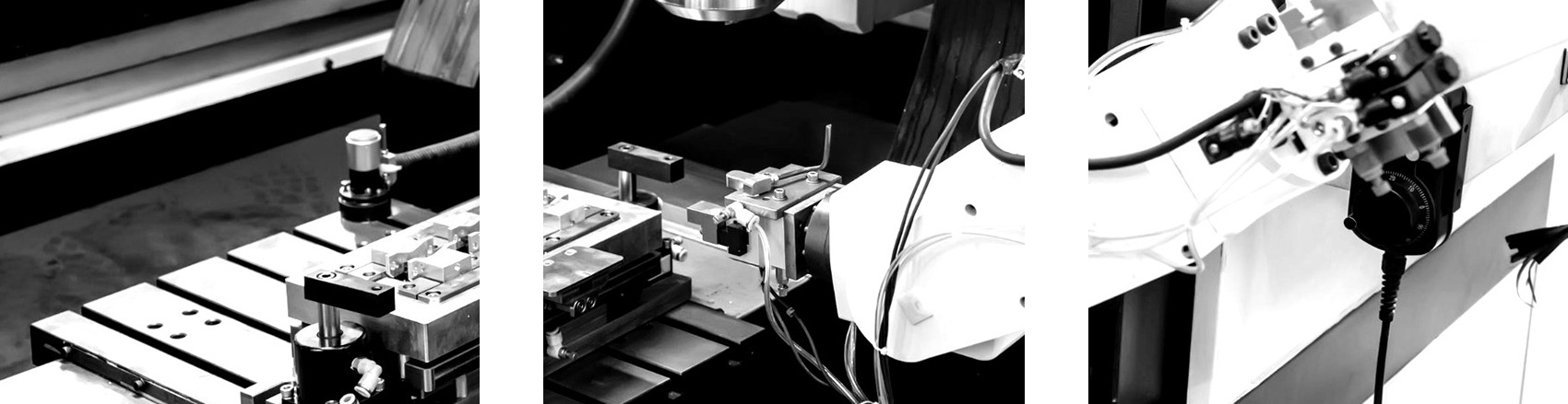 Figura illustrativa LA VERO SRL