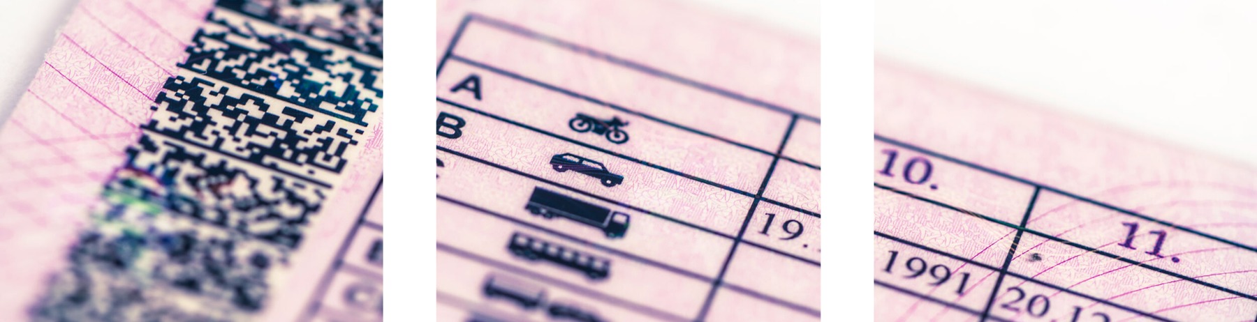 Figura illustrativa Agenzia Scome Srl