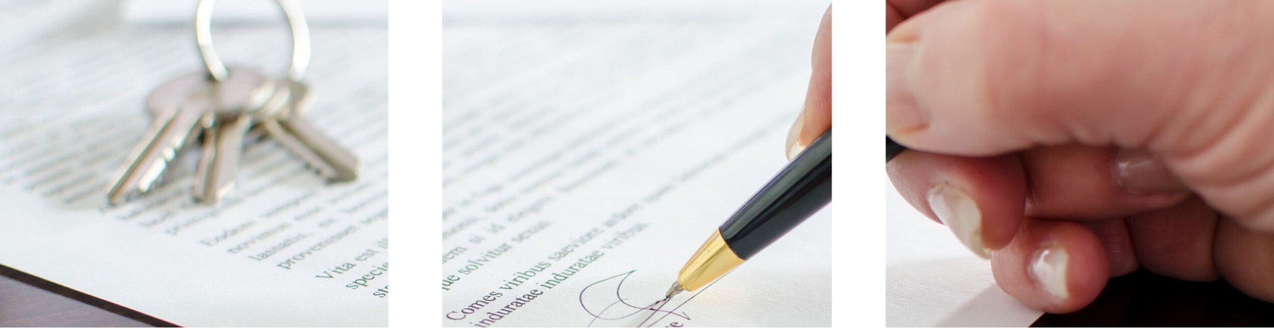 Figura illustrativa Immobiliare Scotti di Scotti Alessandro