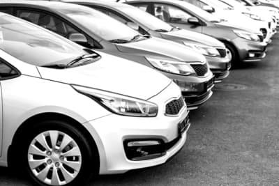 Figura illustrativa Cesarauto di Sailis Agnese