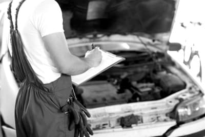 Figura illustrativa Cesarauto di Sailis Agnese