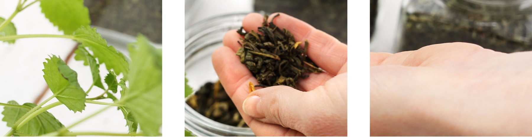 Figura illustrativa 2F1M S.r.l.