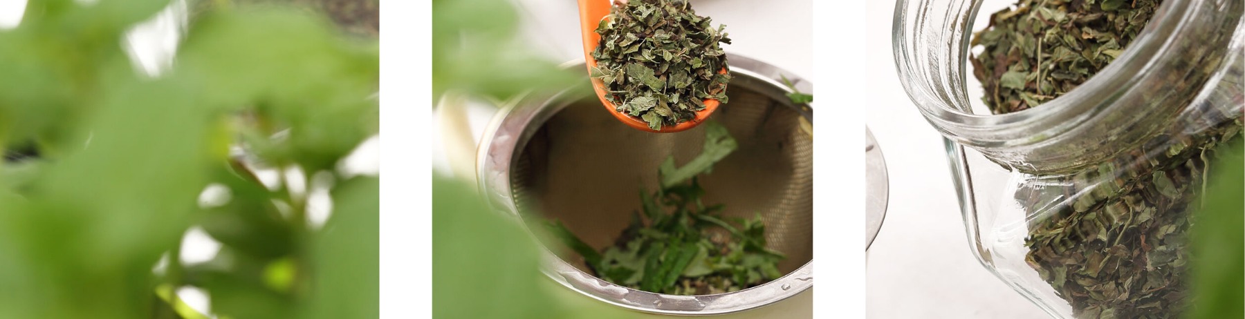 Figura illustrativa 2F1M S.r.l.