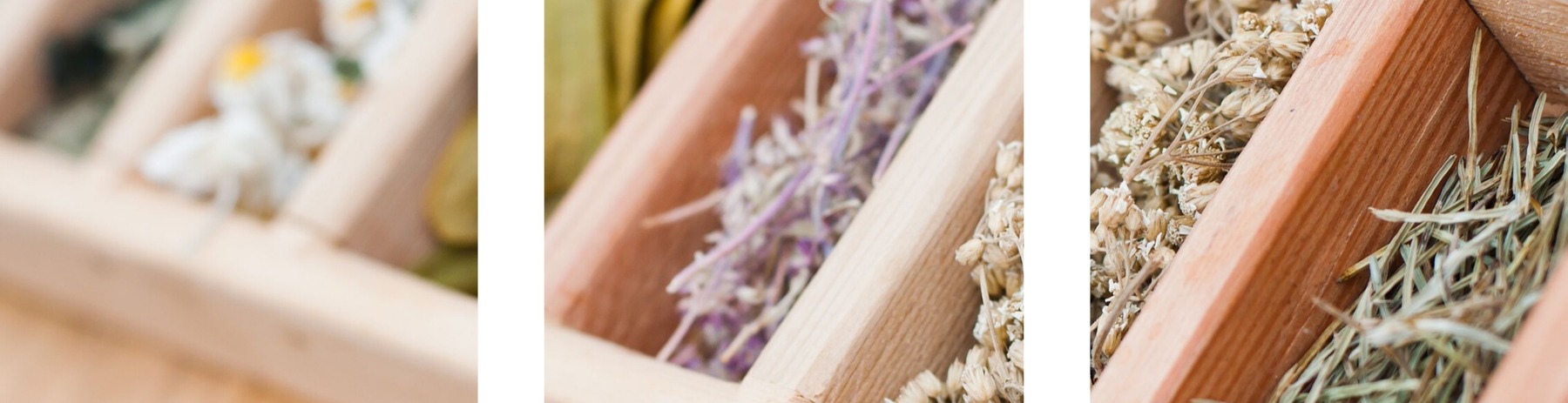 Figura illustrativa 2F1M S.r.l.