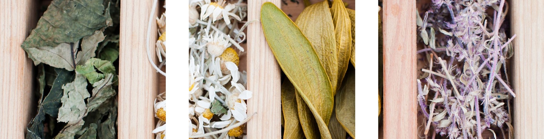 Figura illustrativa 2F1M S.r.l.