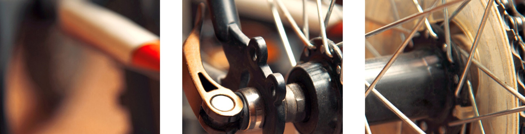 Figura illustrativa TGS dei F.lli Tonelli Snc