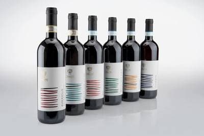 Figura illustrativa Azienda Agricola Casalone Paolo