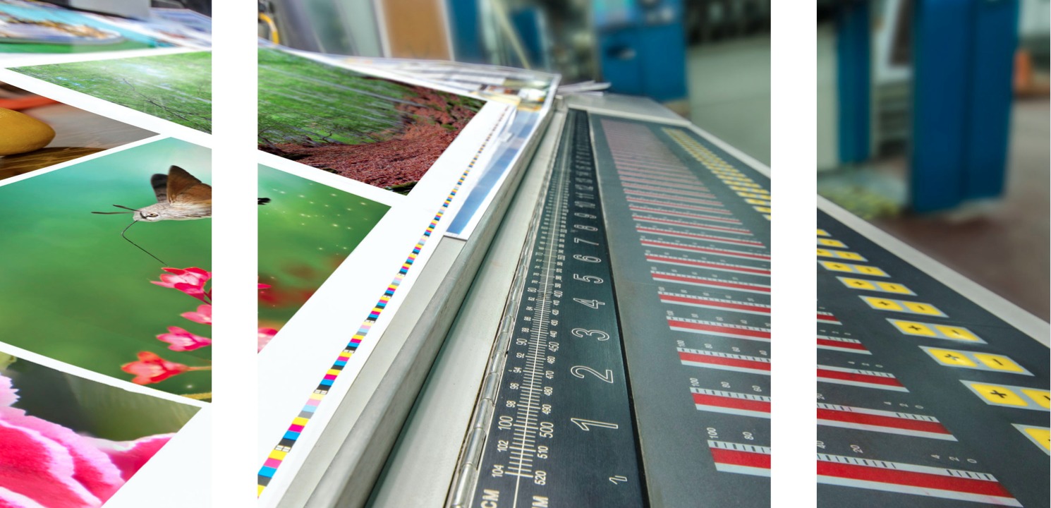 Figura illustrativa Graffidea