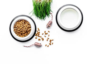 Figura illustrativa PuppyPlanet TuttaNatura