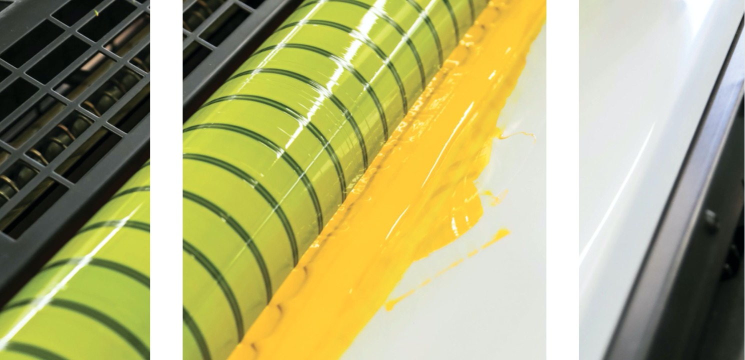 Figura illustrativa Graffidea