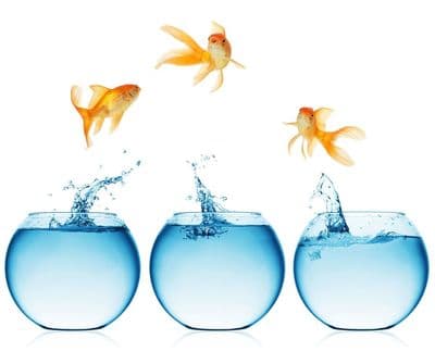 Figura illustrativa PuppyPlanet TuttaNatura