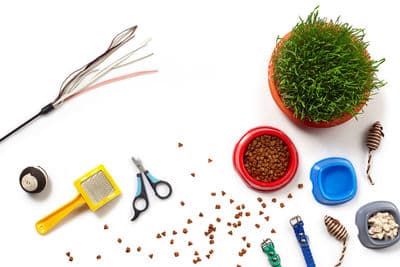 Figura illustrativa PuppyPlanet TuttaNatura