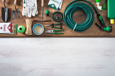 Figura illustrativa PuppyPlanet TuttaNatura