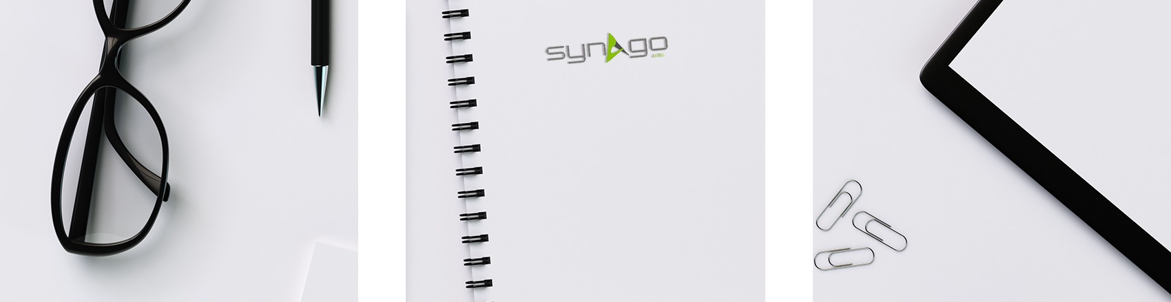 Figura illustrativa Synago Adv