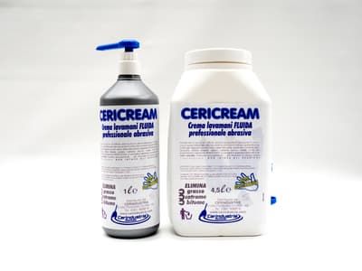 Figura illustrativa Cerindustrie Sas