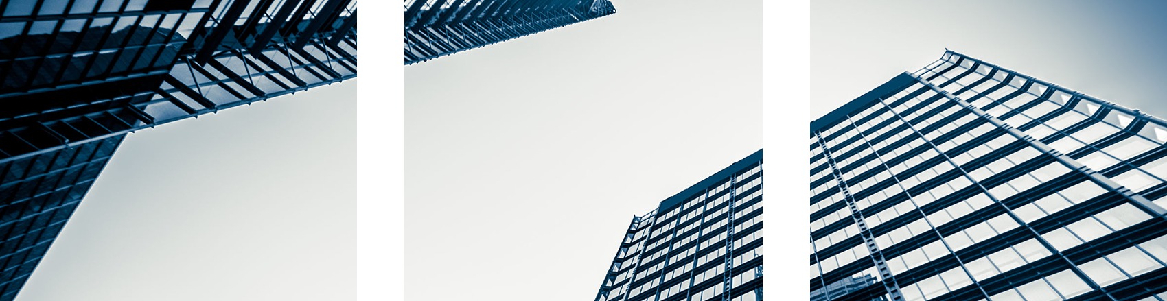 Figura illustrativa Studio Buccinasco Snc