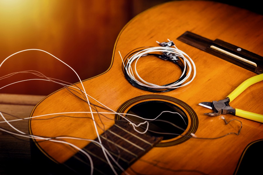 Figura illustrativa Music Center di Pradolini Franco