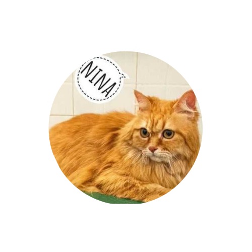 Figura illustrativa Amici con la Coda by Giudy