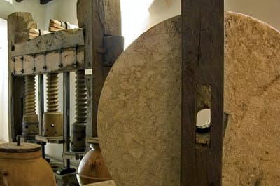 Figura illustrativa Gatto Frantoio di Gatto Biagio