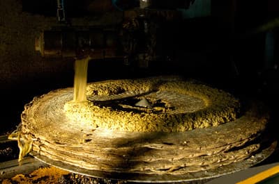 Figura illustrativa Gatto Frantoio di Gatto Biagio