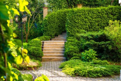 Figura illustrativa Irriservice di Gallazzi Massimiliano