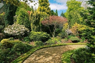 Figura illustrativa Irriservice di Gallazzi Massimiliano