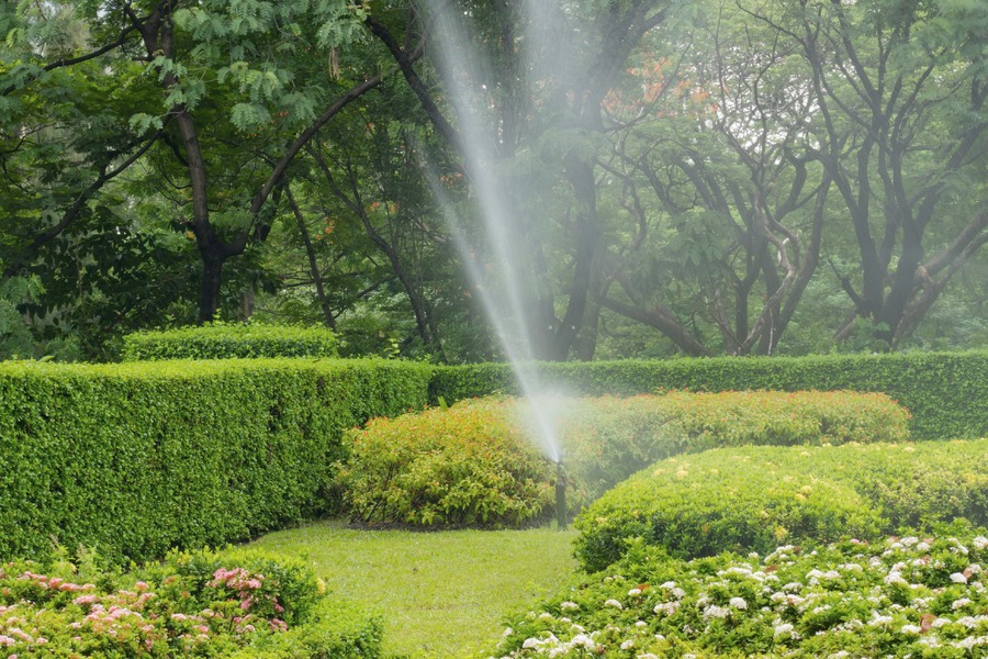 Figura illustrativa Irriservice di Gallazzi Massimiliano