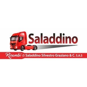 logo Ricambi di Saladdino Silvestro Graziano & C. S.a.s.