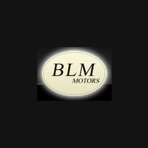logo BLM Motors S.r.l.