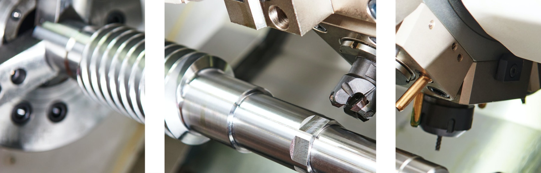 Figura illustrativa Schiaroli Ezio Sas