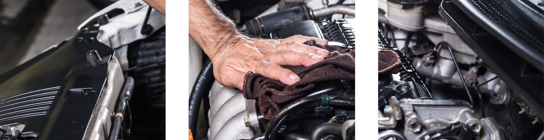 Figura illustrativa AM Service S.r.l.