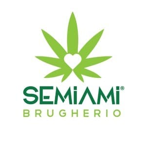 logo Semi-Ami Brugherio