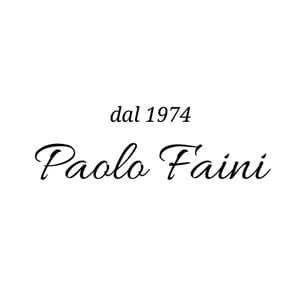 logo Commercio Elettrodomestici Faini Paolo