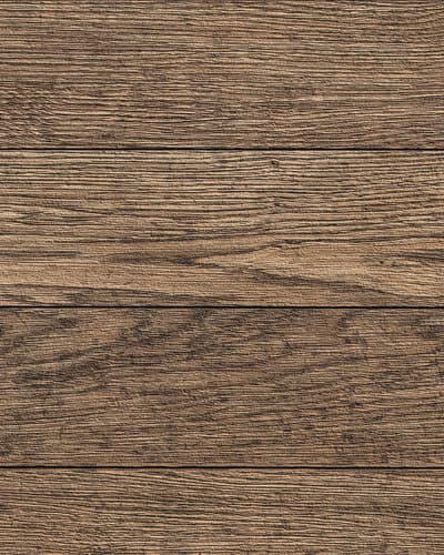 Figura illustrativa Orizio Laccatori