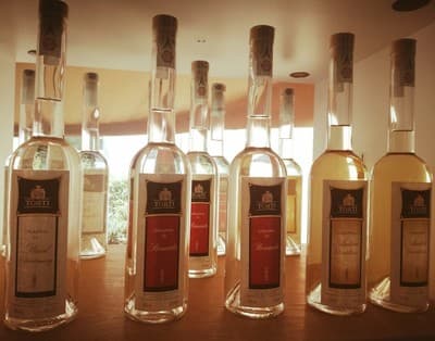 Figura illustrativa Artevino