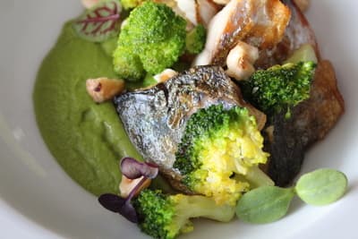 Figura illustrativa Ristorante Plancton