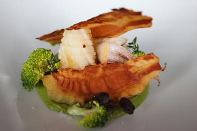 Figura illustrativa Ristorante Plancton