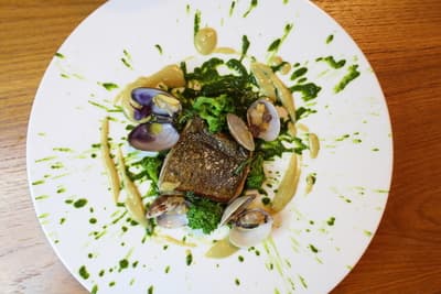 Figura illustrativa Ristorante Plancton