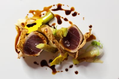 Figura illustrativa Ristorante Plancton