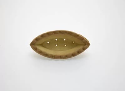 Figura illustrativa Micieli Cannoli