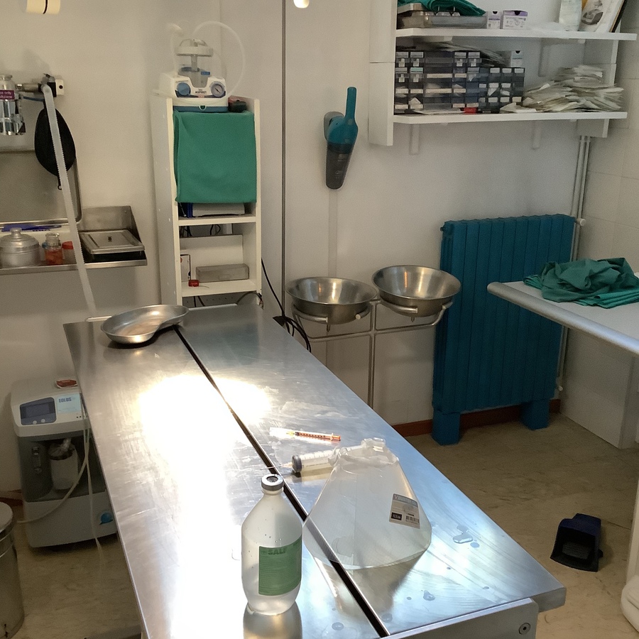 Figura illustrativa Ambulatorio Veterinario Gazzada