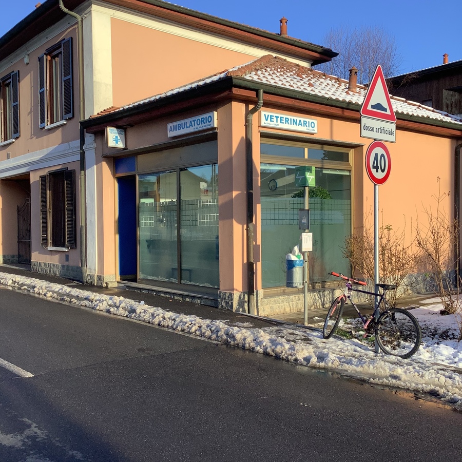 Figura illustrativa Ambulatorio Veterinario Gazzada