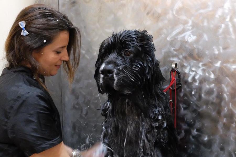 Figura illustrativa Grooming Studio di Simonetta Andreoli