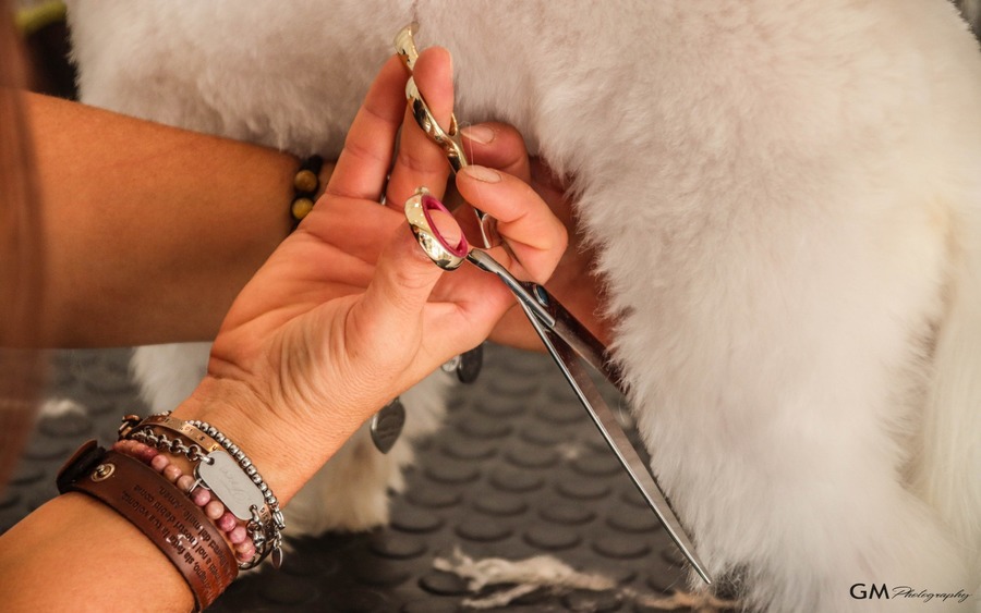 Figura illustrativa Grooming Studio di Simonetta Andreoli