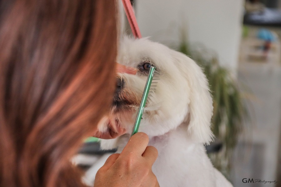 Figura illustrativa Grooming Studio di Simonetta Andreoli