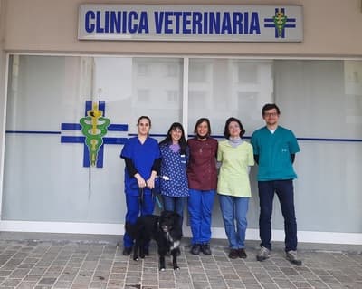Figura illustrativa Clinica Veterinaria Dott.ssa Chiara Zanoni