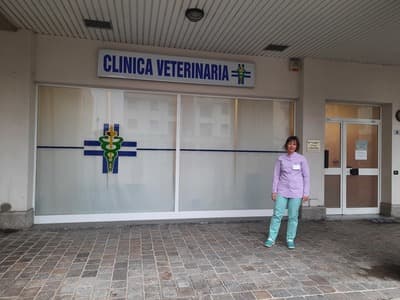 Figura illustrativa Clinica Veterinaria Dott.ssa Chiara Zanoni