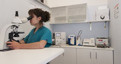 Figura illustrativa Clinica Veterinaria Dell’Isola